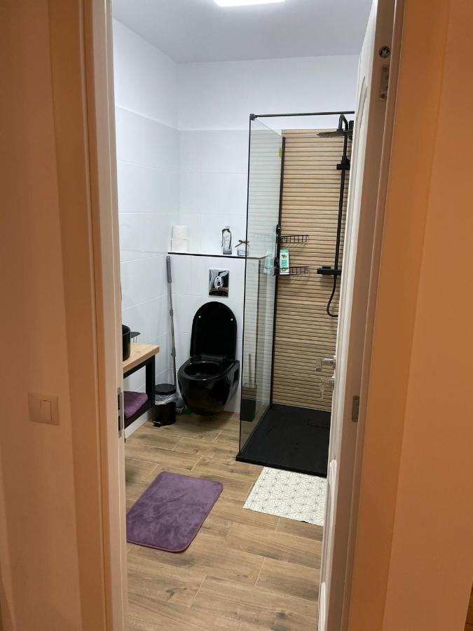 Apartament Gabriela 39 Бая-Маре Екстер'єр фото