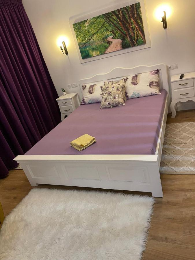 Apartament Gabriela 39 Бая-Маре Екстер'єр фото