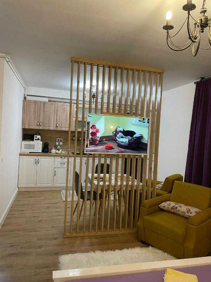 Apartament Gabriela 39 Бая-Маре Екстер'єр фото