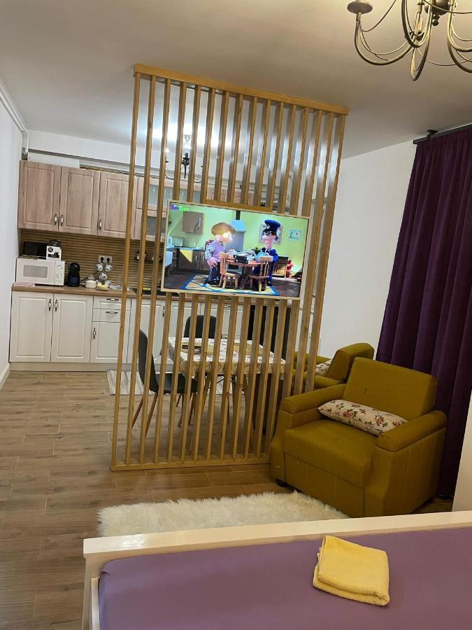 Apartament Gabriela 39 Бая-Маре Екстер'єр фото